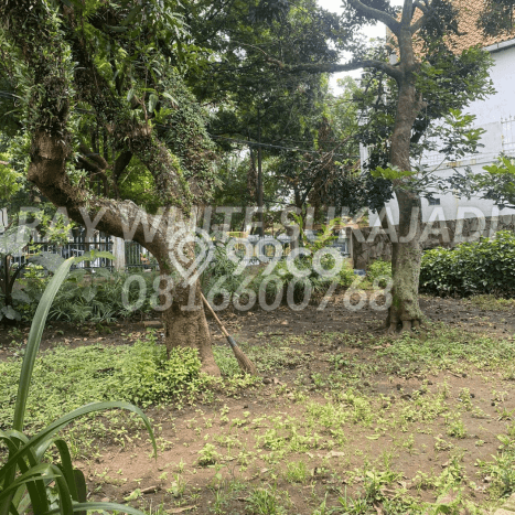 Kavling Tanah Dijual di Cimahi Tengah Cimahi Spesifikasi 1146m2 Kavling Tanah Dijual di Cimahi Tengah Cimahi Spesifikasi 1146m2