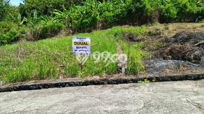 Dijual Tanah Area Prospektif di Beraban, Luas 300m², Akses Beraban, Tabanan, Tabanan Dijual Tanah Area Prospektif di Beraban, Luas 300m², Akses Beraban, Tabanan, Tabanan
