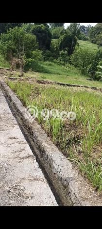 Dijual Tanah Area Prospektif di Beraban, Luas 300m², Akses Beraban, Tabanan, Tabanan Dijual Tanah Area Prospektif di Beraban, Luas 300m², Akses Beraban, Tabanan, Tabanan