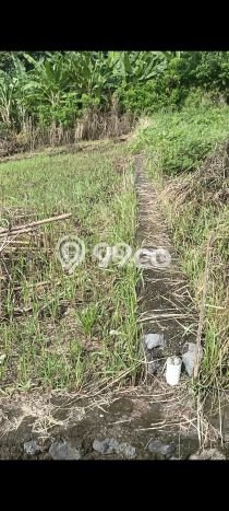 Dijual Tanah Area Prospektif di Beraban, Luas 300m², Akses Beraban, Tabanan, Tabanan Dijual Tanah Area Prospektif di Beraban, Luas 300m², Akses Beraban, Tabanan, Tabanan