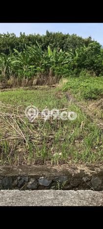 Dijual Tanah Area Prospektif di Beraban, Luas 300m², Akses Beraban, Tabanan, Tabanan Dijual Tanah Area Prospektif di Beraban, Luas 300m², Akses Beraban, Tabanan, Tabanan