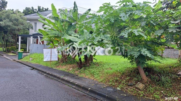Tanah Premium di Bintaro, Luas 320m², Cocok untuk Perumahan Tanah Premium di Bintaro, Luas 320m², Cocok untuk Perumahan
