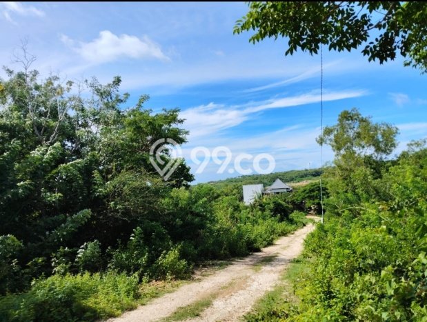 Kavling Tanah Dijual di Kuta Selatan, Badung, Luas 10000m2 Area Strategis Kavling Tanah Dijual di Kuta Selatan, Badung, Luas 10000m2 Area Strategis