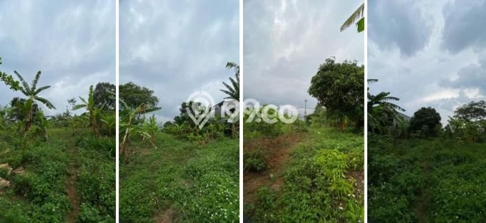 Tanah Dijual Lokasi Banyumanik, Semarang Luas 7449m2 Legalitas Aman Tanah Dijual Lokasi Banyumanik, Semarang Luas 7449m2 Legalitas Aman