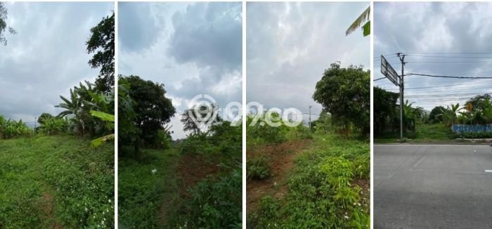 Tanah Dijual Lokasi Banyumanik, Semarang Luas 7449m2 Legalitas Aman Tanah Dijual Lokasi Banyumanik, Semarang Luas 7449m2 Legalitas Aman
