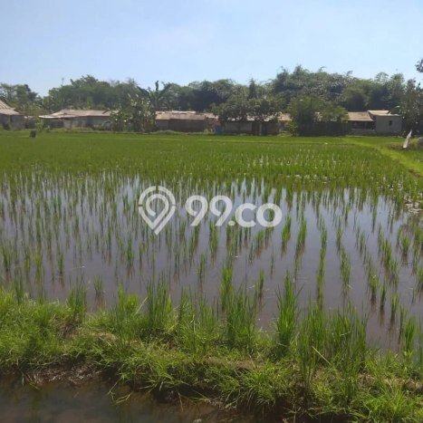 AREA PROSPEKTIF! Tanah Kawasan , Luas 5530m2m², Dekat Fasilitas Umum, Kawasan Potensial AREA PROSPEKTIF! Tanah Kawasan , Luas 5530m2m², Dekat Fasilitas Umum, Kawasan Potensial