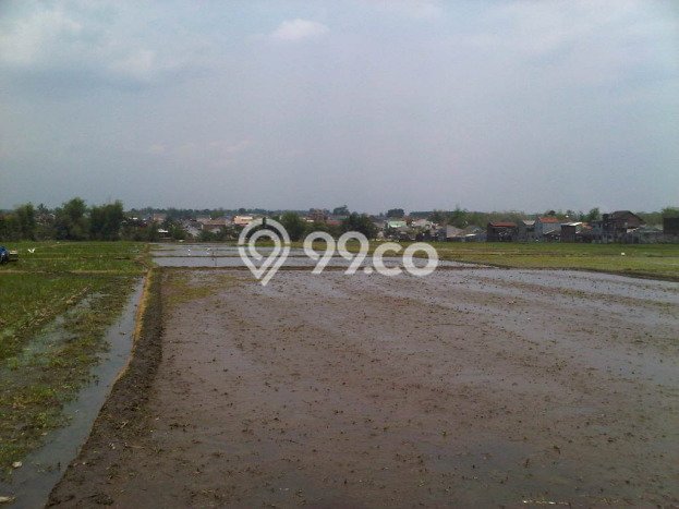 Kavling Tanah Dijual di Singosari Malang Spesifikasi 3181m2 Kavling Tanah Dijual di Singosari Malang Spesifikasi 3181m2