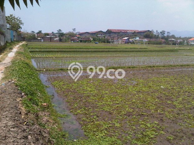 Kavling Tanah Dijual di Singosari Malang Spesifikasi 3181m2 Kavling Tanah Dijual di Singosari Malang Spesifikasi 3181m2