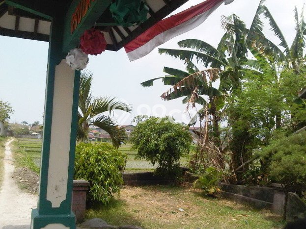 Kavling Tanah Dijual di Singosari Malang Spesifikasi 3181m2 Kavling Tanah Dijual di Singosari Malang Spesifikasi 3181m2