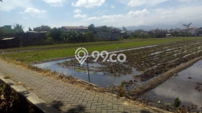 Kavling Tanah Dijual di Singosari Malang Spesifikasi 3181m2 Kavling Tanah Dijual di Singosari Malang Spesifikasi 3181m2