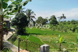 Kavling Tanah Dijual di Cijeruk Bogor Spesifikasi 512m2 Kavling Tanah Dijual di Cijeruk Bogor Spesifikasi 512m2
