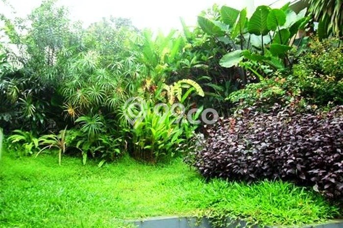 Hunian Minimalis Untuk Disewakan di Pondok Indah Jakarta Selatan 4 KT & 4 KM Hunian Minimalis Untuk Disewakan di Pondok Indah Jakarta Selatan 4 KT & 4 KM