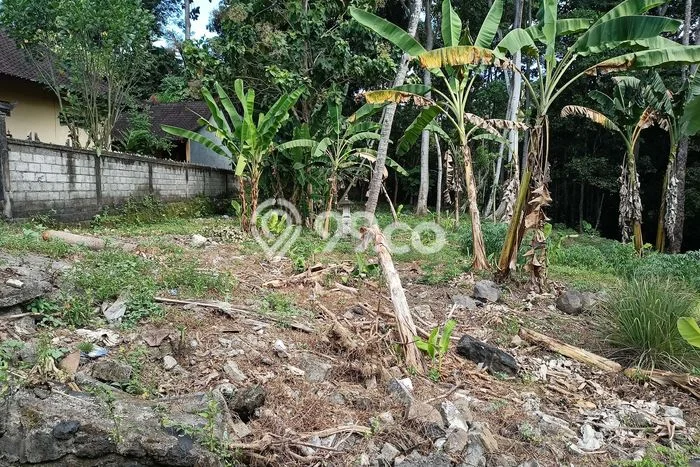 Jual Tanah Kawasan Cepaka, Luas 3050m², Area Potensial Jual Tanah Kawasan Cepaka, Luas 3050m², Area Potensial
