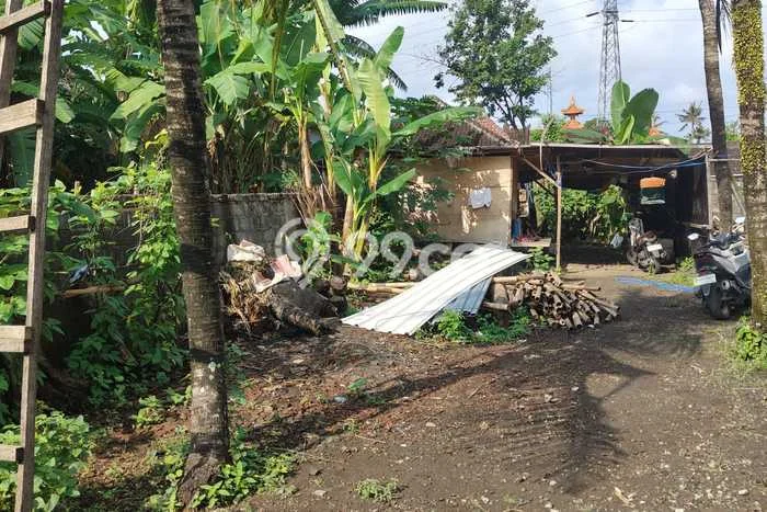 Tanah di Kediri, Tabanan Luas 200m2 Dijual Segera Tanah di Kediri, Tabanan Luas 200m2 Dijual Segera