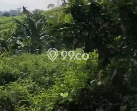 Tanah Kavling Dijual di Bogor dengan Spesifikasi 1e+06m2 Tanah Kavling Dijual di Bogor dengan Spesifikasi 1e+06m2