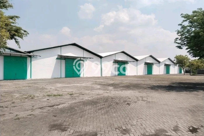 Disewakan Gudang Bisnis di Kertosono Nganjuk Harga Sewa Menarik Bisa Nego Disewakan Gudang Bisnis di Kertosono Nganjuk Harga Sewa Menarik Bisa Nego