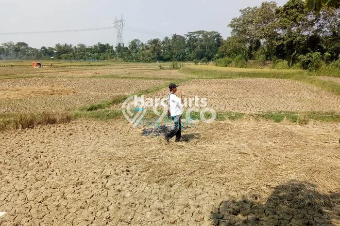 Lahan Investasi Lokasi Pamarayan Serang SHM Lahan Investasi Lokasi Pamarayan Serang SHM