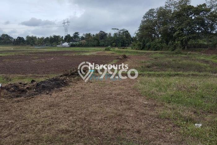Lahan Investasi Lokasi Pamarayan Serang SHM Lahan Investasi Lokasi Pamarayan Serang SHM