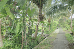 Tanah Dijual Lokasi Turi, Sleman dengan Luas Tanah 709m2 dan Status SHM Tanah Dijual Lokasi Turi, Sleman dengan Luas Tanah 709m2 dan Status SHM
