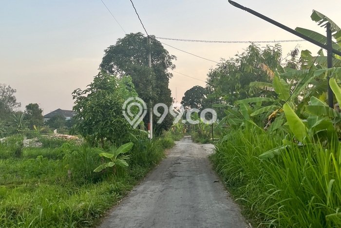 Lahan Disewakan di Ngaglik, Sleman, Luas 1700m2 SHM Lahan Disewakan di Ngaglik, Sleman, Luas 1700m2 SHM