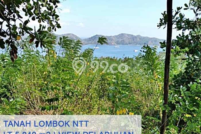 Tanah Dijual Lokasi Gerung, Lombok Barat Luas 5049m2 Legalitas Aman Tanah Dijual Lokasi Gerung, Lombok Barat Luas 5049m2 Legalitas Aman