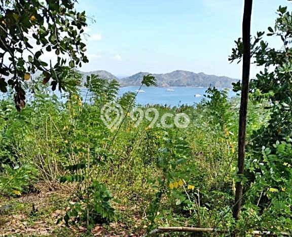 Tanah Dijual Lokasi Gerung, Lombok Barat Luas 5049m2 Legalitas Aman Tanah Dijual Lokasi Gerung, Lombok Barat Luas 5049m2 Legalitas Aman
