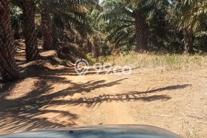 Lahan Kosong Dijual di Pandeglang dengan Area 1e+08m2 Lahan Kosong Dijual di Pandeglang dengan Area 1e+08m2