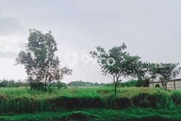 Kavling Tanah Dijual di Cikarang Selatan Bekasi Spesifikasi 11118m2 Kavling Tanah Dijual di Cikarang Selatan Bekasi Spesifikasi 11118m2