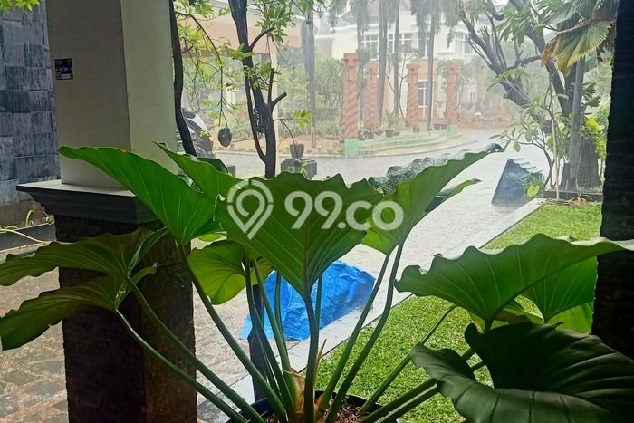 Hunian Mewah LB 750m2 Siap Huni Desain Elegan di Semper, Jakarta Utara Hunian Mewah LB 750m2 Siap Huni Desain Elegan di Semper, Jakarta Utara