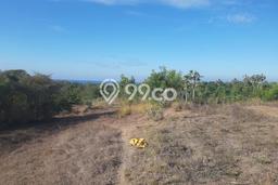 Dijual Tanah di Tianyar Karangasem Luas 37350m2 SHM Dijual Tanah di Tianyar Karangasem Luas 37350m2 SHM