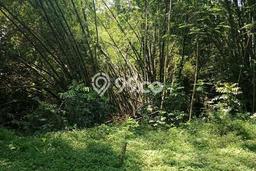 Lahan untuk Dijual di Kanigoro Blitar Luas 1427m2 Lahan untuk Dijual di Kanigoro Blitar Luas 1427m2