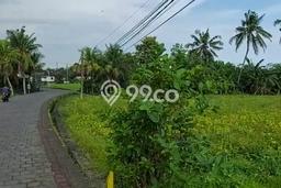 Tanah Dijual Area Strategis di Tanah Lot Tabanan 3500m2 Tanah Dijual Area Strategis di Tanah Lot Tabanan 3500m2