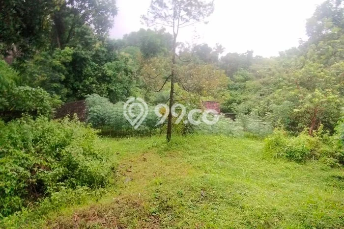 Tanah Kavling Dijual di Buleleng dengan Spesifikasi 2000m2 Tanah Kavling Dijual di Buleleng dengan Spesifikasi 2000m2