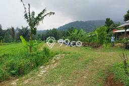 Tanah untuk Dijual Lokasi Wanayasa, Purwakarta Luas 16000m2 SHM Tanah untuk Dijual Lokasi Wanayasa, Purwakarta Luas 16000m2 SHM