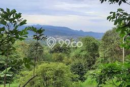 Tanah di Leuwiliang, Bogor Luas 17200m2 Dijual Segera Tanah di Leuwiliang, Bogor Luas 17200m2 Dijual Segera