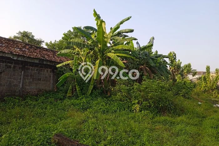 Tanah Kavling Dijual di Bekasi dengan Spesifikasi 1804m2 Tanah Kavling Dijual di Bekasi dengan Spesifikasi 1804m2