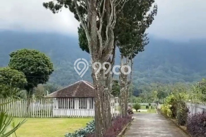 Tanah Kavling Dijual di Singaraja, Buleleng dengan Luas Tanah 5000m2 Tanah Kavling Dijual di Singaraja, Buleleng dengan Luas Tanah 5000m2