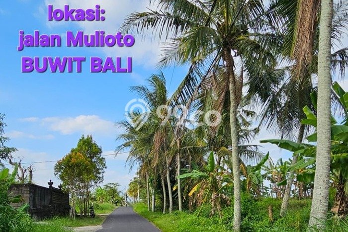 Lahan Kosong Dijual di Tabanan, Tabanan, Luas 940m2 Area Strategis Lahan Kosong Dijual di Tabanan, Tabanan, Luas 940m2 Area Strategis