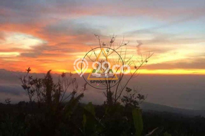 Kavling Tanah di Buleleng Dijual Luas 8635m2 Legalitas SHM Kavling Tanah di Buleleng Dijual Luas 8635m2 Legalitas SHM