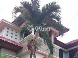 Rumah Modern Minimalis 3 Kamar Bisa Langsung Pindah di Denpasar Barat Rumah Modern Minimalis 3 Kamar Bisa Langsung Pindah di Denpasar Barat