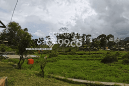 Tanah di Ciwidey, Bandung Luas 13037m2 Dijual Segera Tanah di Ciwidey, Bandung Luas 13037m2 Dijual Segera