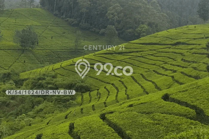 Lahan Kosong Dijual di Ciwidey, Bandung, Luas 178500m2 Area Strategis Lahan Kosong Dijual di Ciwidey, Bandung, Luas 178500m2 Area Strategis