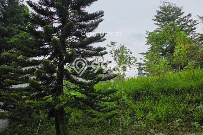 Tanah Dijual Lokasi Parongpong Bandung Barat SHM Tanah Dijual Lokasi Parongpong Bandung Barat SHM