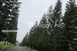Tanah Dijual Lokasi Parongpong Bandung Barat SHM Tanah Dijual Lokasi Parongpong Bandung Barat SHM
