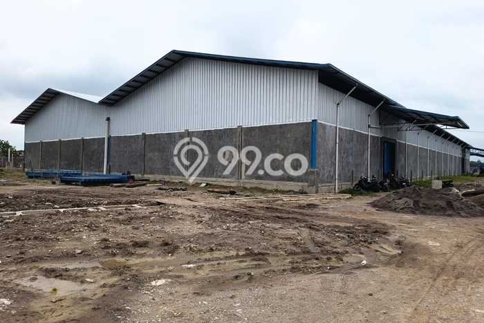 Pabrik disewakan di Ligung Majalengka dengan luas bangunan 17000m2 Pabrik disewakan di Ligung Majalengka dengan luas bangunan 17000m2