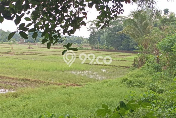 Tanah Kavling Dijual di Narogong, Bekasi dengan Luas Tanah 26000m2 Tanah Kavling Dijual di Narogong, Bekasi dengan Luas Tanah 26000m2