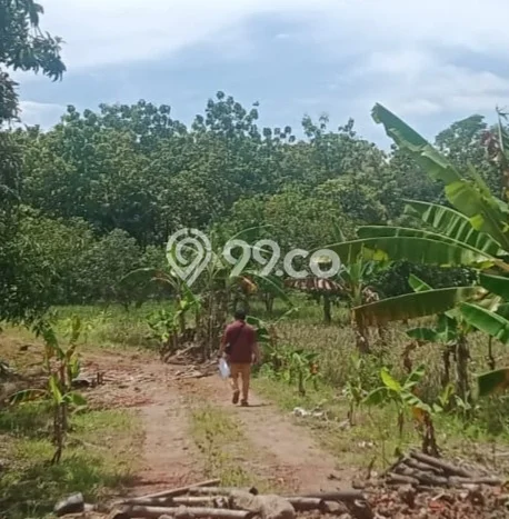 Lahan Kosong Dijual di Majalengka dengan Area 50000m2 Lahan Kosong Dijual di Majalengka dengan Area 50000m2