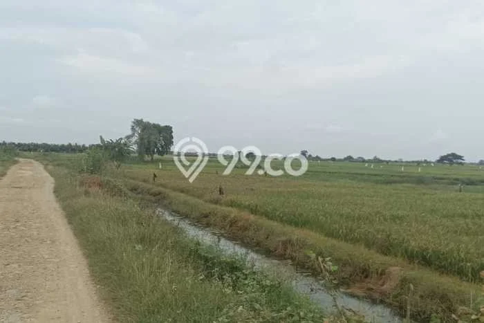 Untuk Dijual Tanah di Muara Gembong Bekasi Luas 90000m2 SHM Untuk Dijual Tanah di Muara Gembong Bekasi Luas 90000m2 SHM