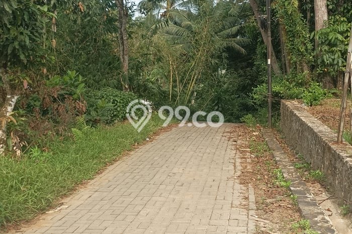 Dijual Rumah Minimalis Bagus Punya 2 KT di Pandeglang Pandeglang SHM Dijual Rumah Minimalis Bagus Punya 2 KT di Pandeglang Pandeglang SHM