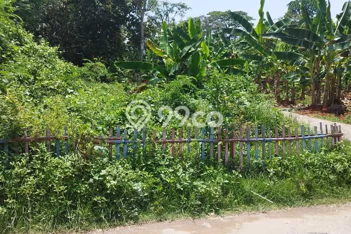 Lahan untuk Dijual Lokasi Walantaka, Serang Luas 768m2 SHM Lahan untuk Dijual Lokasi Walantaka, Serang Luas 768m2 SHM